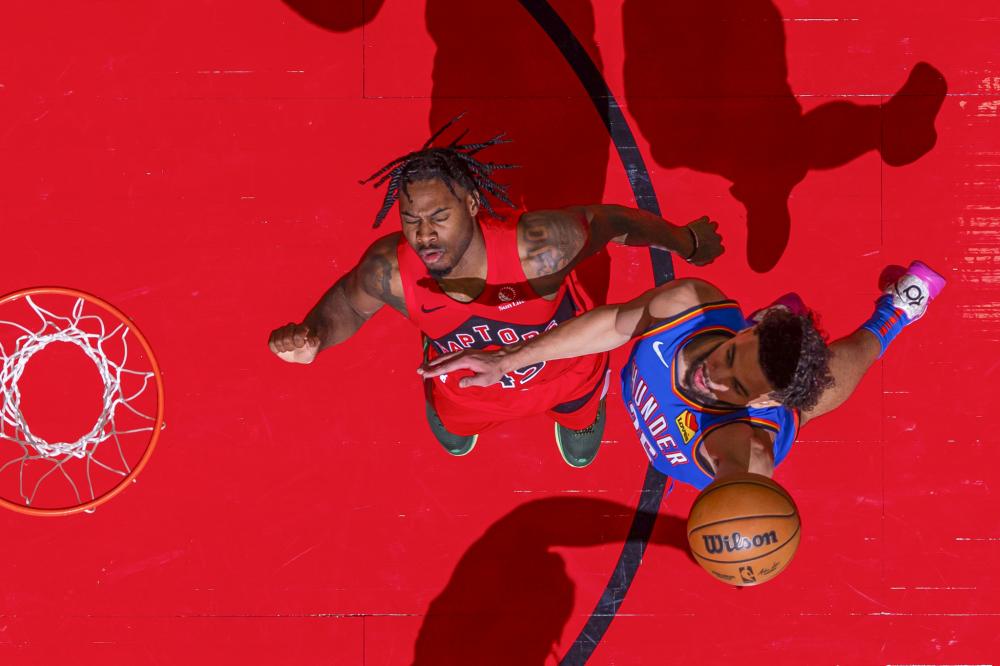 和观赏性 和观赏性